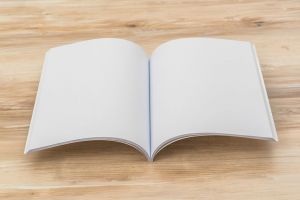 Jahrbuch