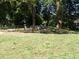 Projekt Hecke 16